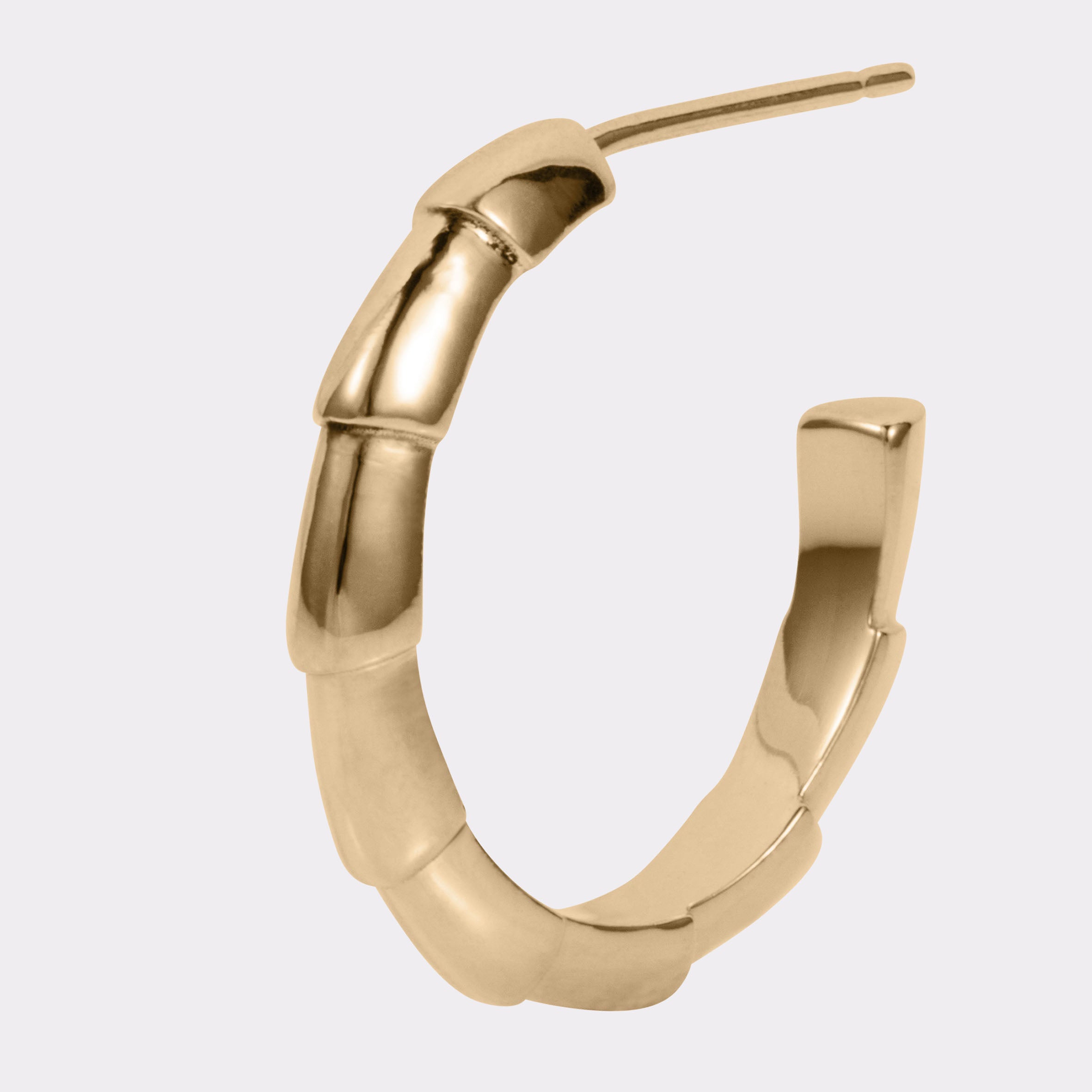 Darcy Small Hoops
