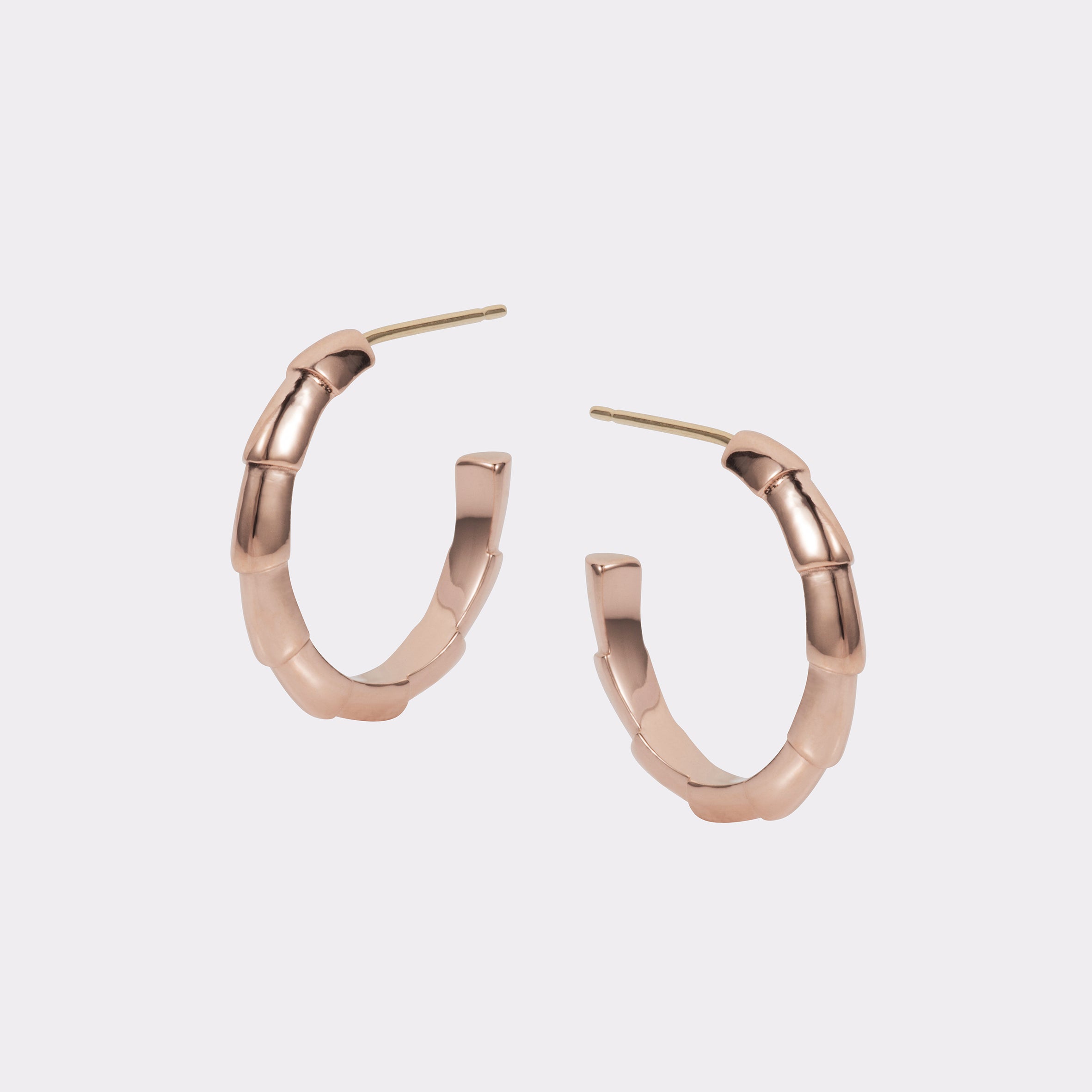 Darcy Small Hoops