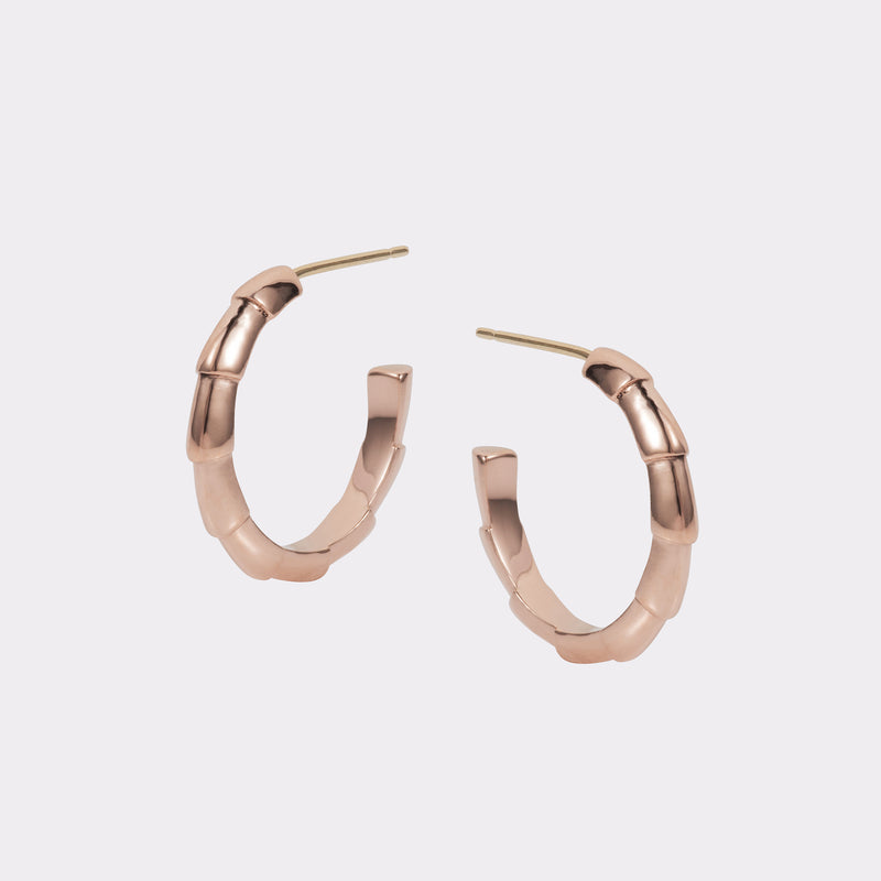 Darcy Small Hoops