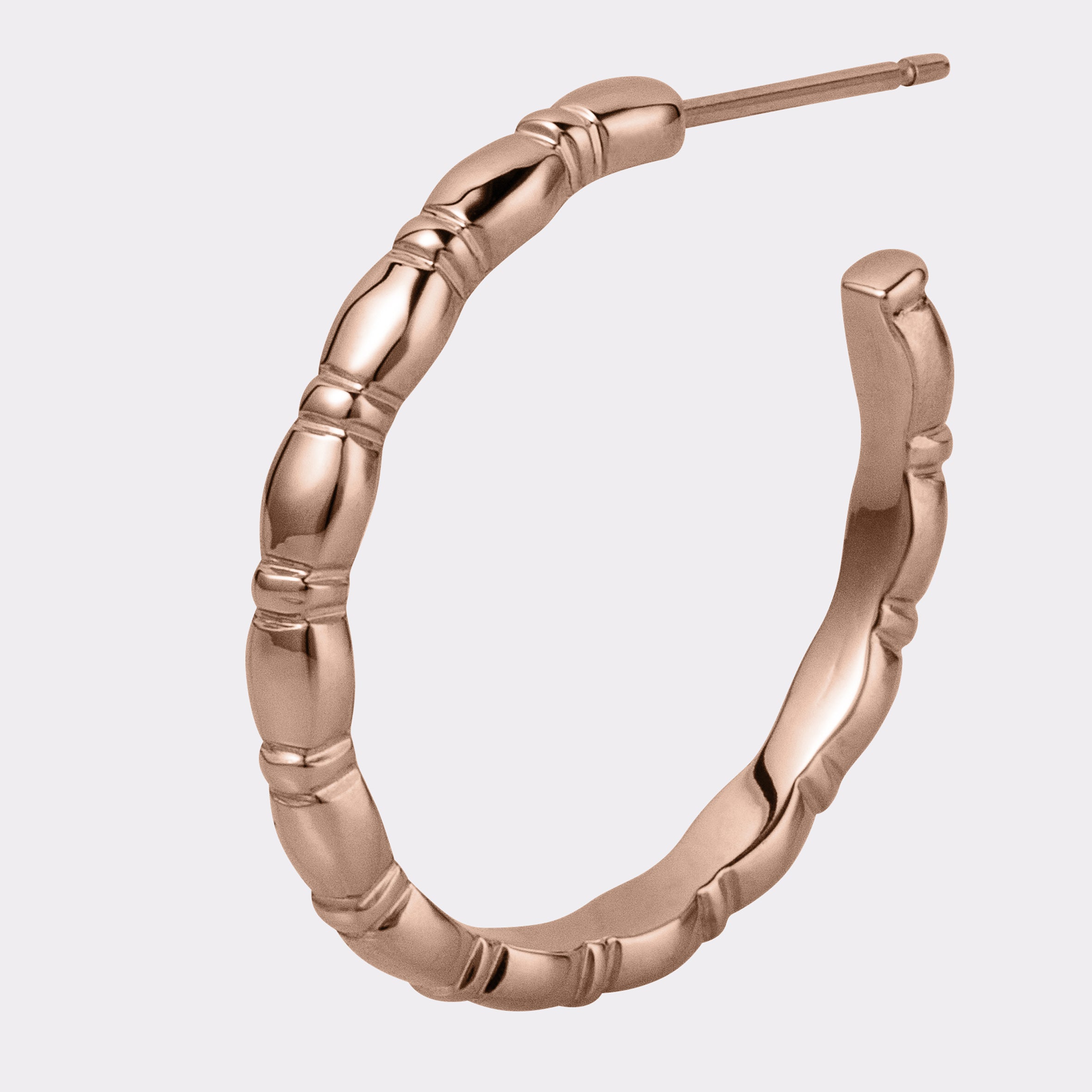 Jessie Large Hoops