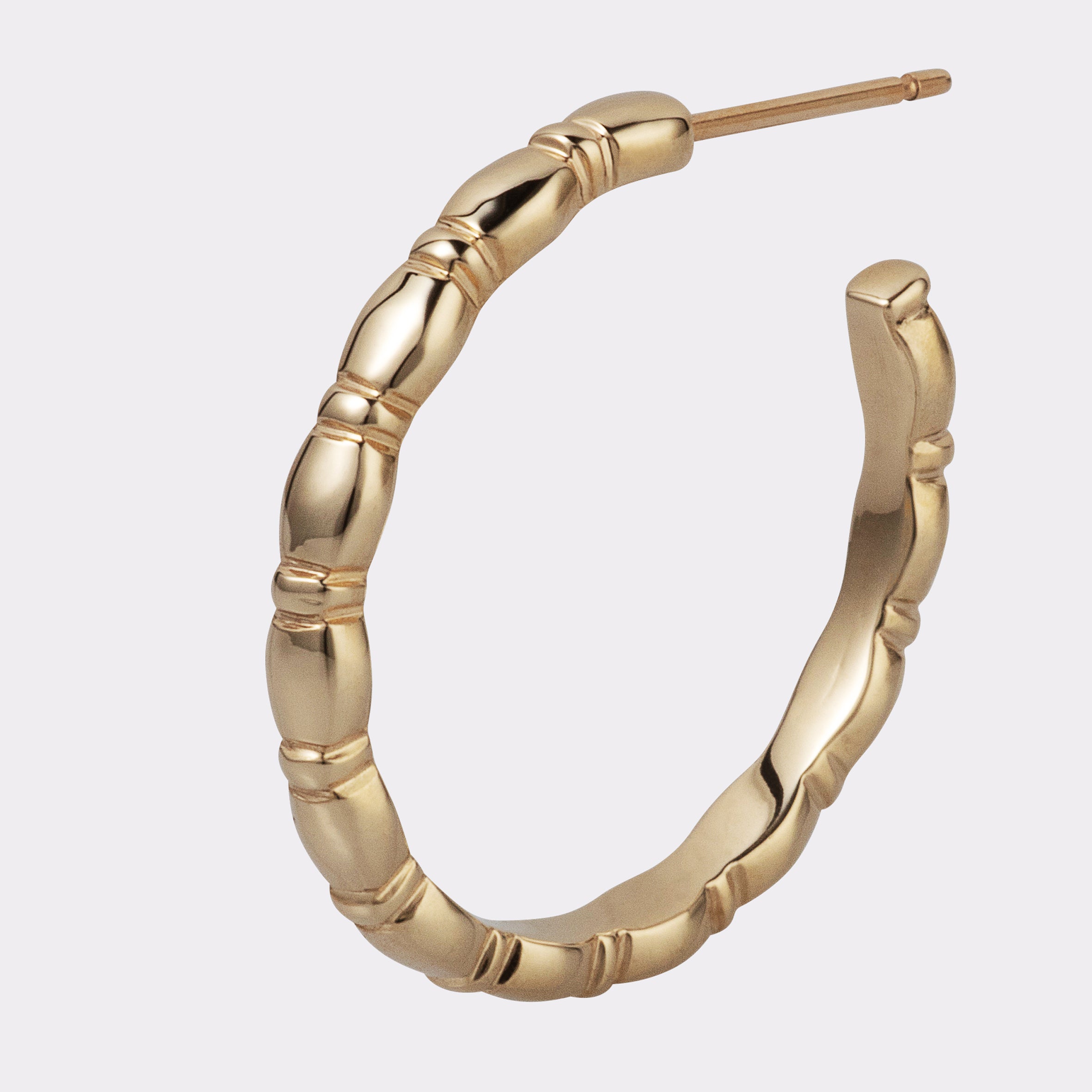 Jessie Large Hoops