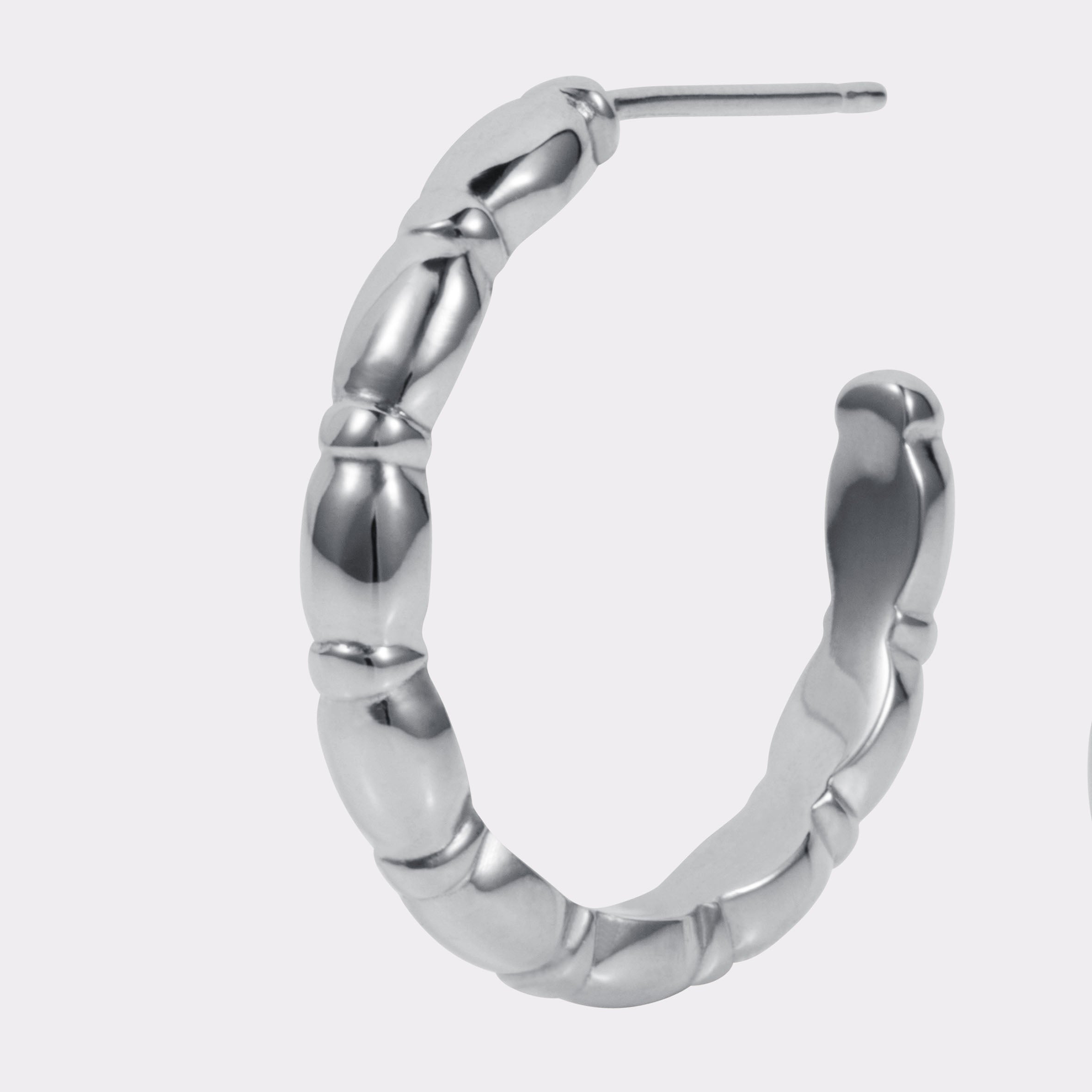 Jessie Small Hoops