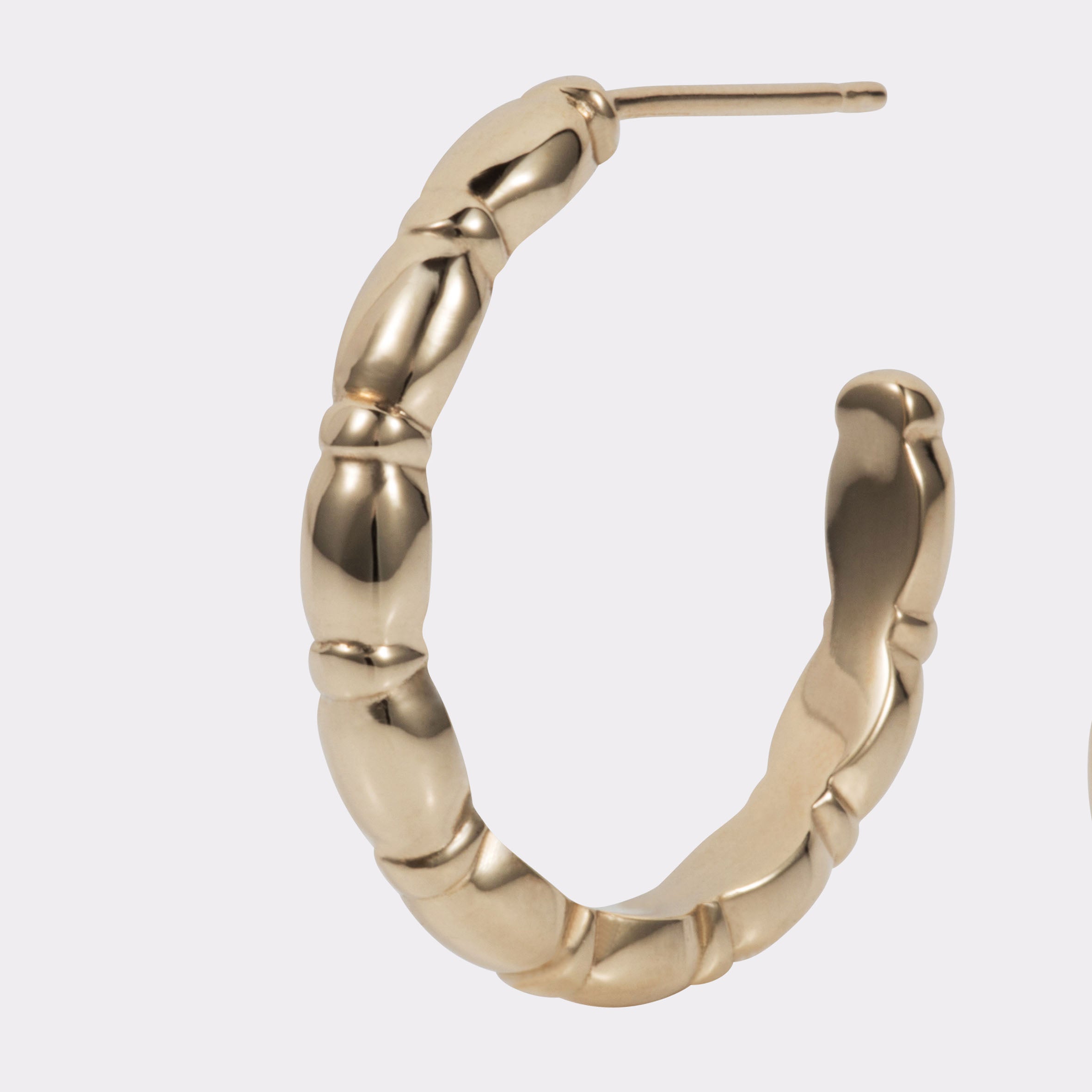 Jessie Small Hoops