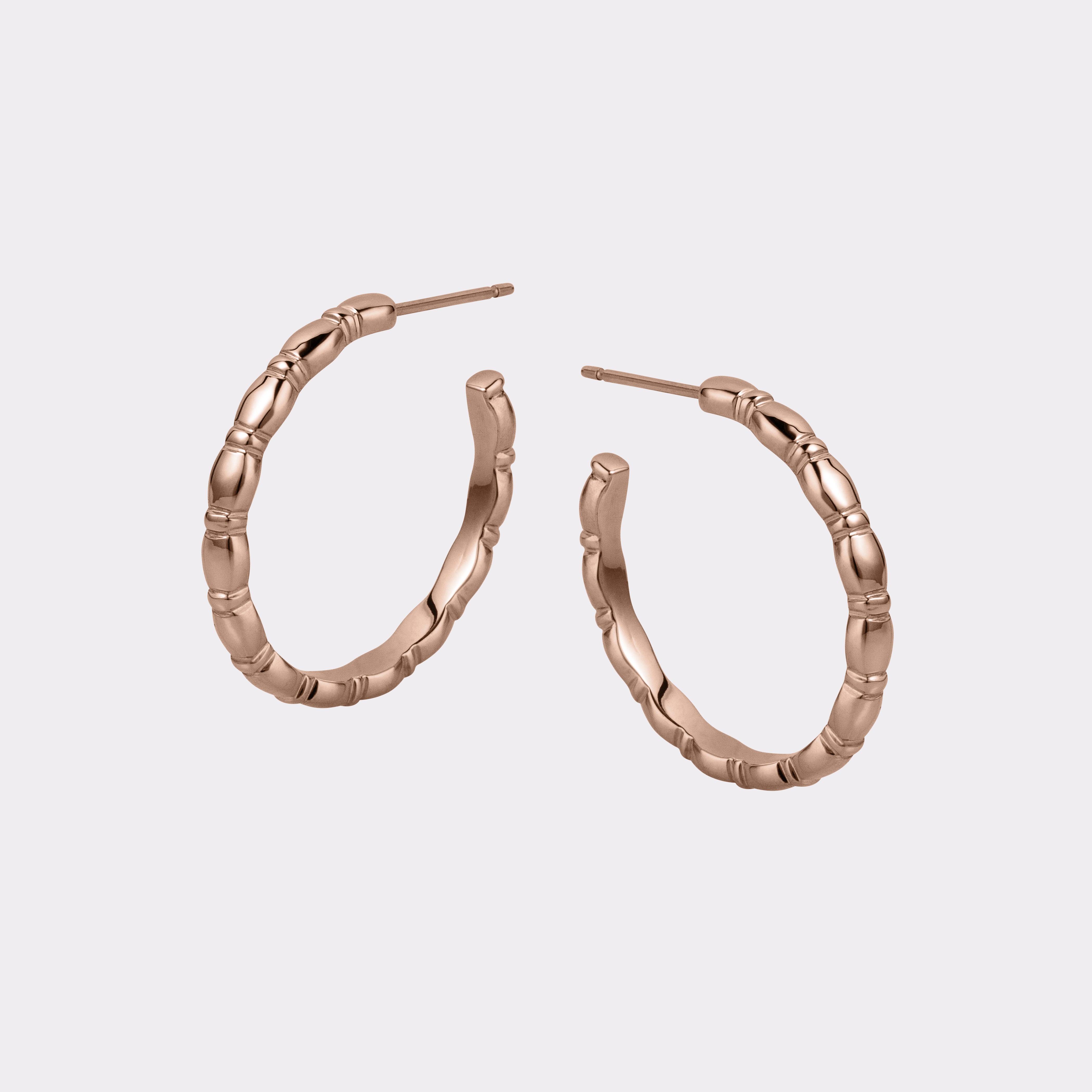 Jessie Large Hoops