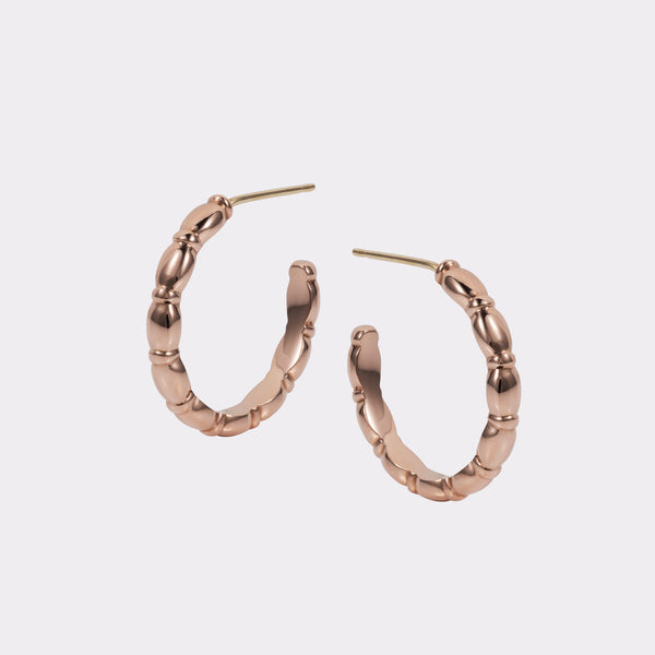 Jessie Small Hoops