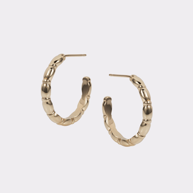 Jessie Small Hoops