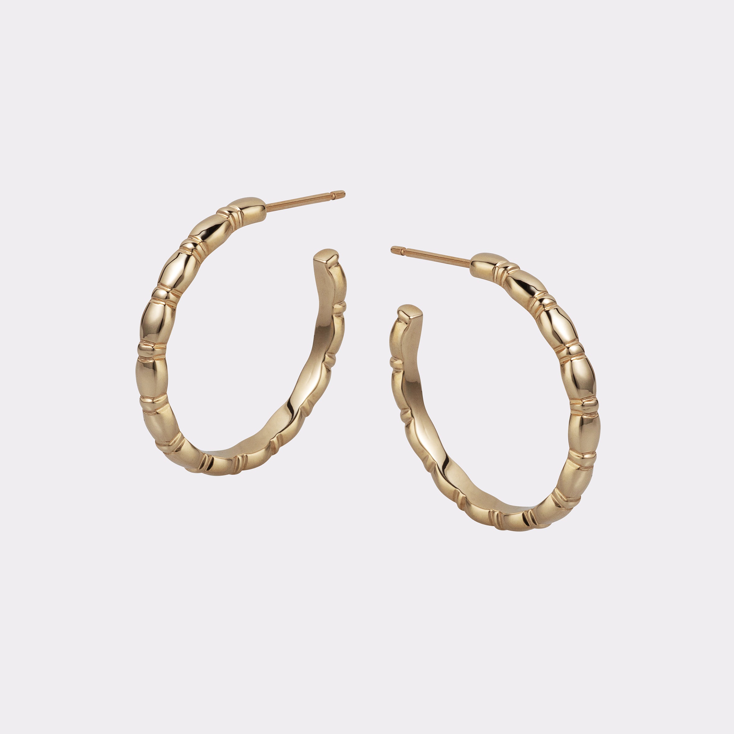 Jessie Large Hoops